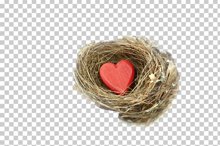 Heart Vecteur Gratis PNG, Clipart, Advertising, Baby, Bird Nest, Books, Broken Heart Free PNG Download
