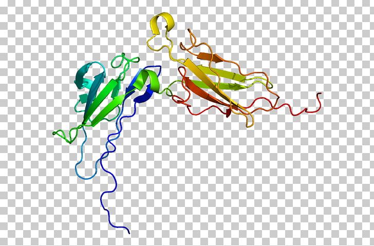 IFNAR2 Interferon-alpha/beta Receptor IFNAR1 PNG, Clipart, 1 N, Area, Art, Artwork, Cell Free PNG Download