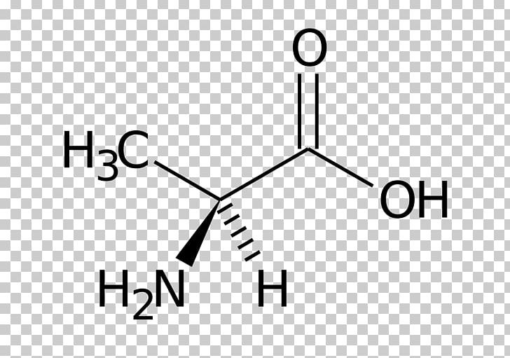 Methyl Group Threonine Homocysteine Amino Acid PNG, Clipart, Amino Acid, Angle, Area, Black And White, Brand Free PNG Download