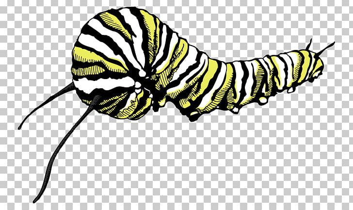 Nymphalidae Caterpillar Monarch Butterfly PNG, Clipart, Animals, Art, Art Museum, Black Swallowtail, Brush Footed Butterfly Free PNG Download