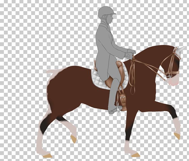 Stallion English Riding Rein Bridle Mustang PNG, Clipart, Cowboy, Equestrianism, Equestrian Sport, Extraordinary, Halter Free PNG Download