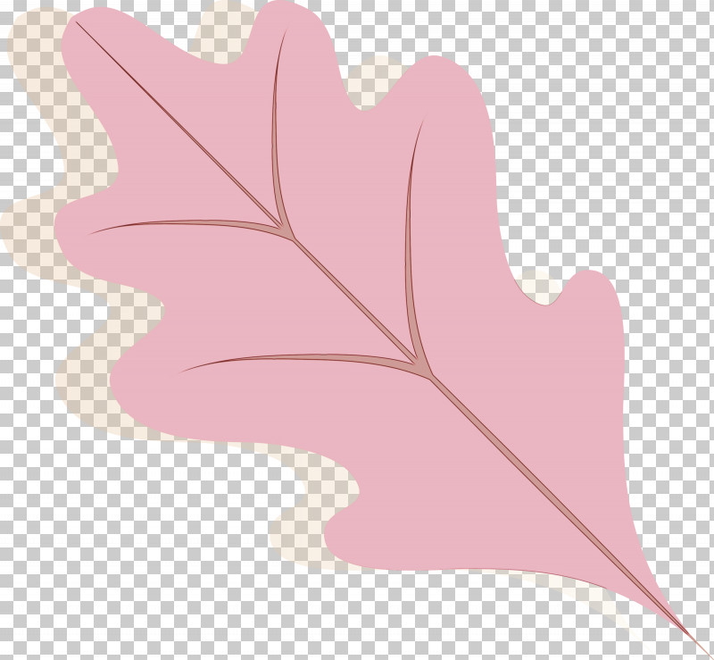 Leaf Tree Plants Science Biology PNG, Clipart, Autumn Color, Autumn Leaf, Biology, Leaf, Paint Free PNG Download