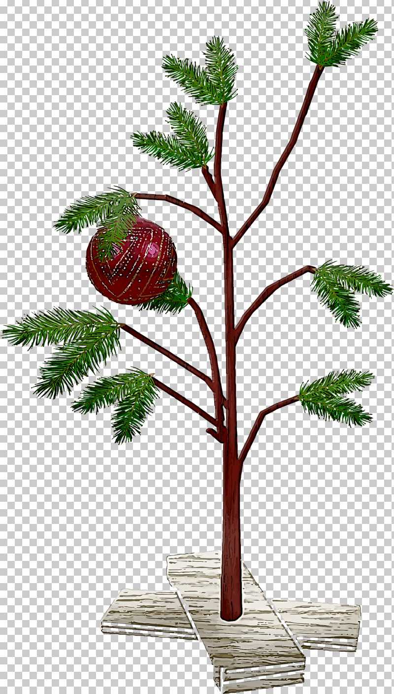 Christmas Ornaments PNG, Clipart, American Larch, Branch, Christmas Ornaments, Flower, Flowerpot Free PNG Download