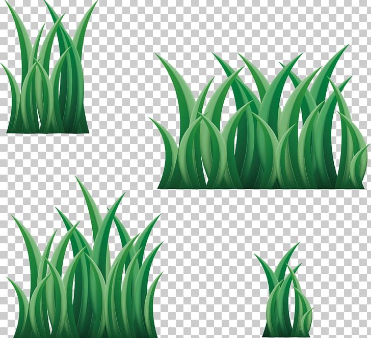 3D Computer Graphics PNG, Clipart, 3d Computer Graphics, Adobe Illustrator, Aromatic, Art, Artificial Grass Free PNG Download
