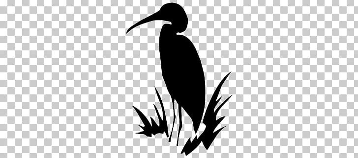 Green Heron Crane Bird PNG, Clipart, Art, Artwork, Beak, Bird, Black And White Free PNG Download