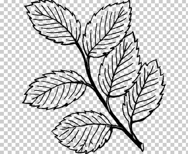 Leaf Computer Icons PNG, Clipart, Art, Autumn Leaf Color, Black And White, Branch, Color Free PNG Download