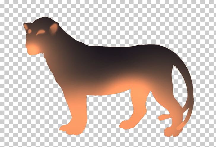 Lion Dog Felidae Siamese Cat Common Warthog PNG, Clipart, Animal, Animals, Big Cat, Big Cats, Carnivoran Free PNG Download