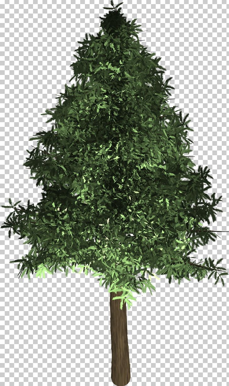 Spruce Fir Christmas Tree Evergreen PNG, Clipart, Branch, Christmas, Christmas Decoration, Christmas Ornament, Christmas Tree Free PNG Download