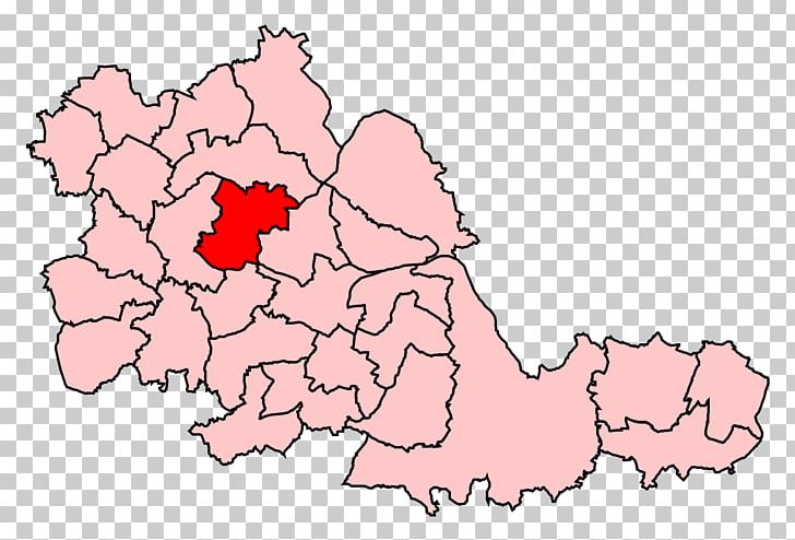 Electoral District West Bromwich East Walsall South Flower PNG, Clipart, Area, Flo, Flower, Flowering Plant, Garden Roses Free PNG Download