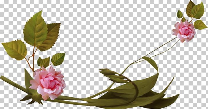 Flower Greeting Blue Rose PNG, Clipart, Blue Rose, Bonjour, Cut Flowers, Flora, Floral Design Free PNG Download