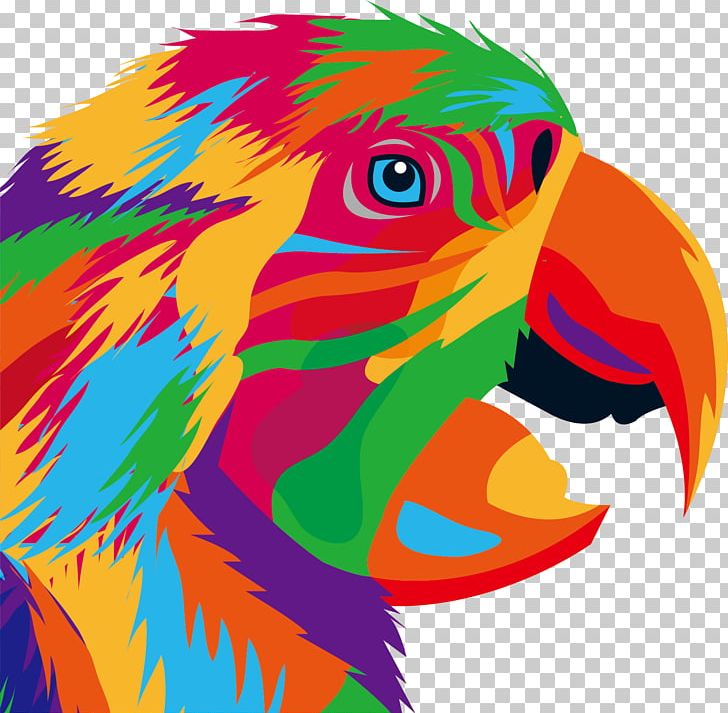Parrot Bird Drawing Illustration PNG, Clipart, Beak, Cartoon, Color, Eagle Vector, Feather Free PNG Download