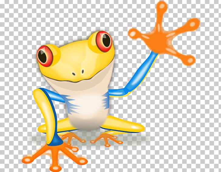Red-eyed Tree Frog The Tree Frog PNG, Clipart, American Green Tree Frog, Amphibian, Australian Green Tree Frog, Free Content, Frog Free PNG Download