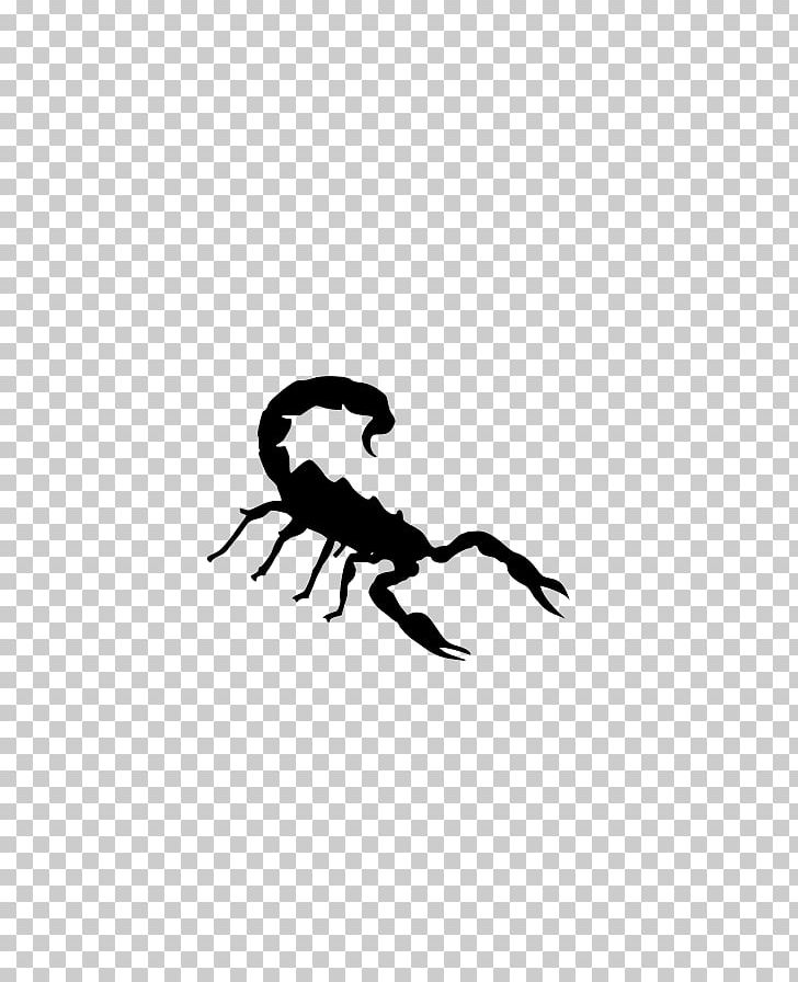 Scorpion PNG, Clipart, Arachnid, Black, Black And White, Computer Wallpaper, Drawing Free PNG Download