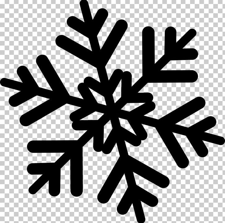 Snowflake PNG, Clipart, Black, Black And White, Christmas Snow, Drawing, Free Stock Png Free PNG Download