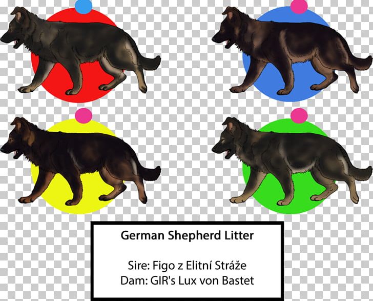 Dog Breed Cat Puppy Tail PNG, Clipart, All About German Shepherds, Animals, Breed, Carnivoran, Cat Free PNG Download