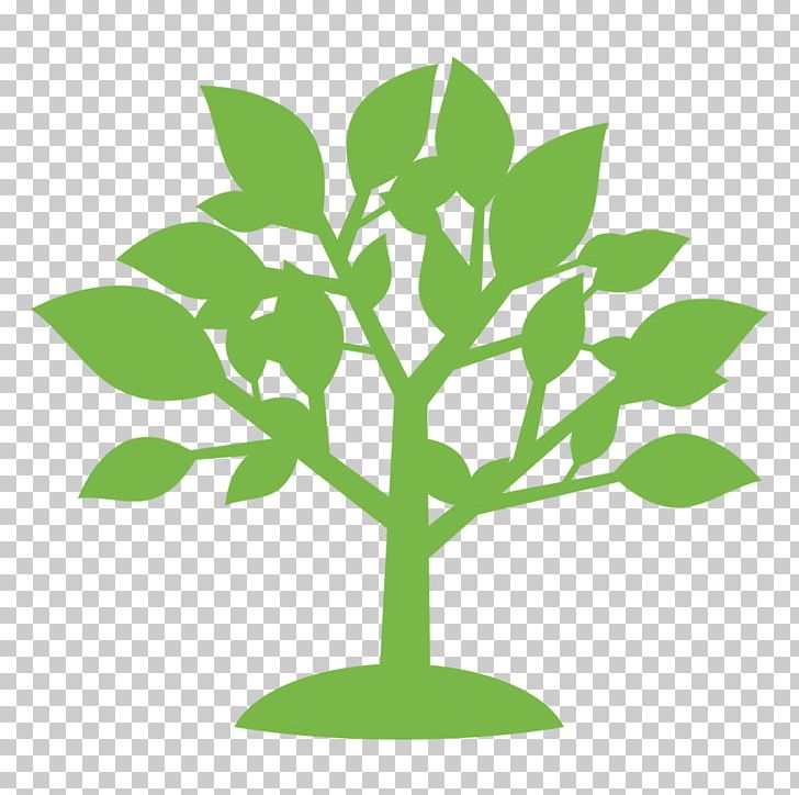 Leaf Presentation Branch PNG, Clipart, Branch, Copyright, Document, Download, Drawing Free PNG Download