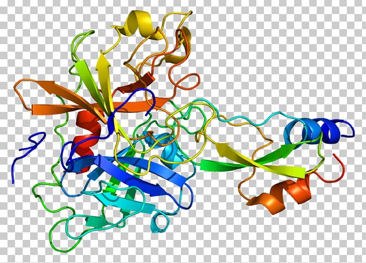 SPINT1 Chemical Reaction Enzyme Kunitz Domain Protease Inhibitor PNG, Clipart, Artwork, Cdk, Chemical Reaction, Chemistry, Enzyme Free PNG Download