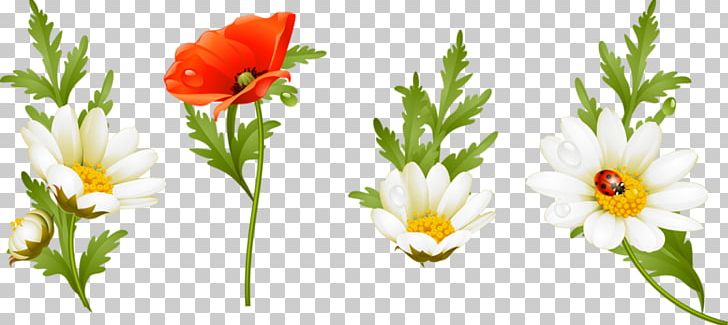 Floral Design Flower Lossless Compression PNG, Clipart, Annual Plant, Cicek, Color, Common Daisy, Cut Flowers Free PNG Download