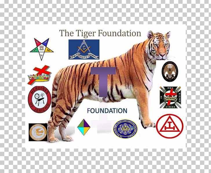 Tiger Royal Arch Masonry Holy Royal Arch Big Cat PNG, Clipart, Animal Figure, Big Cat, Big Cats, Carnivoran, Cat Free PNG Download