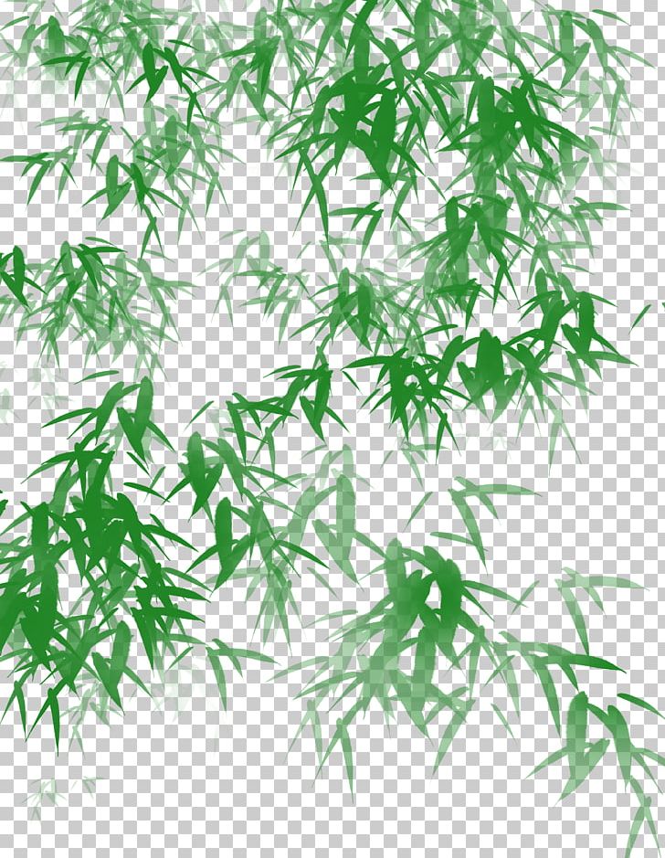 Bamboo Shoot Leaf Icon PNG, Clipart, Bamboo Border, Bamboo Charcoal, Bamboo Frame, Bamboo Leaf, Bamboo Leaves Free PNG Download
