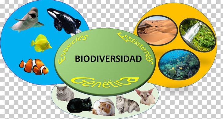 Biodiversity Ecosystem Diversity Introduced Species PNG, Clipart, Biodiversity, Biology, Ecosystem, Ecosystem Diversity, Evolution Free PNG Download