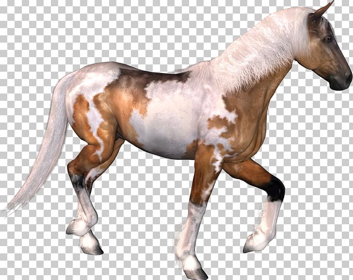 Horse Pack Animal PNG, Clipart, Animal Figure, Animals, Cartoon, Colt, Creativity Free PNG Download
