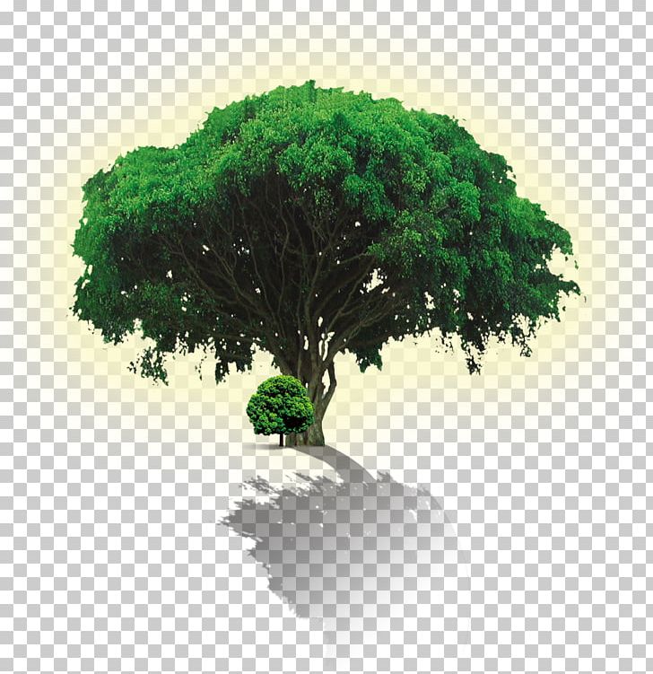 Advertising Environmental Protection Poster Green PNG, Clipart, Advertising, Autumn Tree, Banner, Christmas Tree, Color Free PNG Download