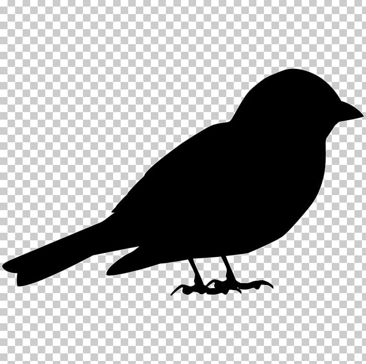 House Sparrow Bird American Crow Song Sparrow PNG, Clipart, American Crow, Animals, Beak, Bird, Bird Feeders Free PNG Download