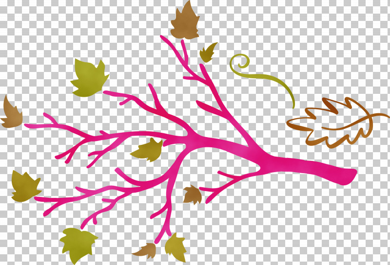 Floral Design PNG, Clipart, Biology, Floral Design, Flower, Leaf, Paint Free PNG Download