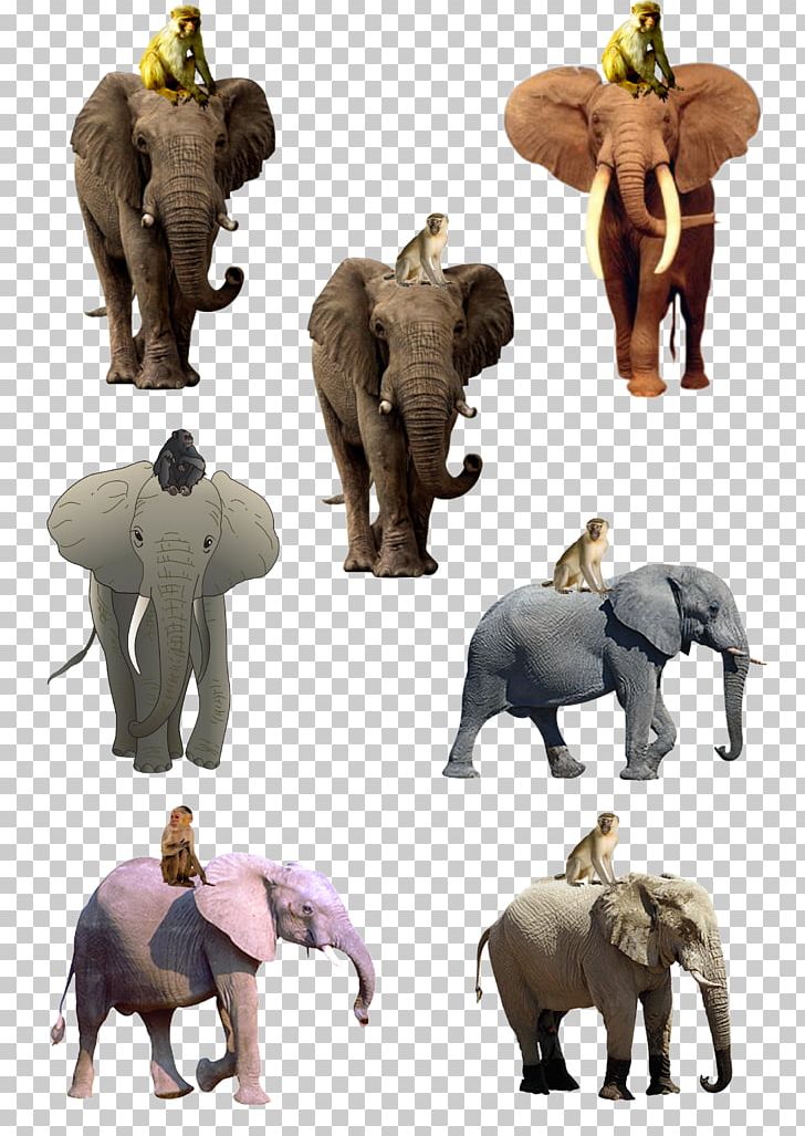 African Elephant Indian Elephant Monkey Drawing PNG, Clipart, Animal, Animals, Cartoon, Child, Crea Free PNG Download