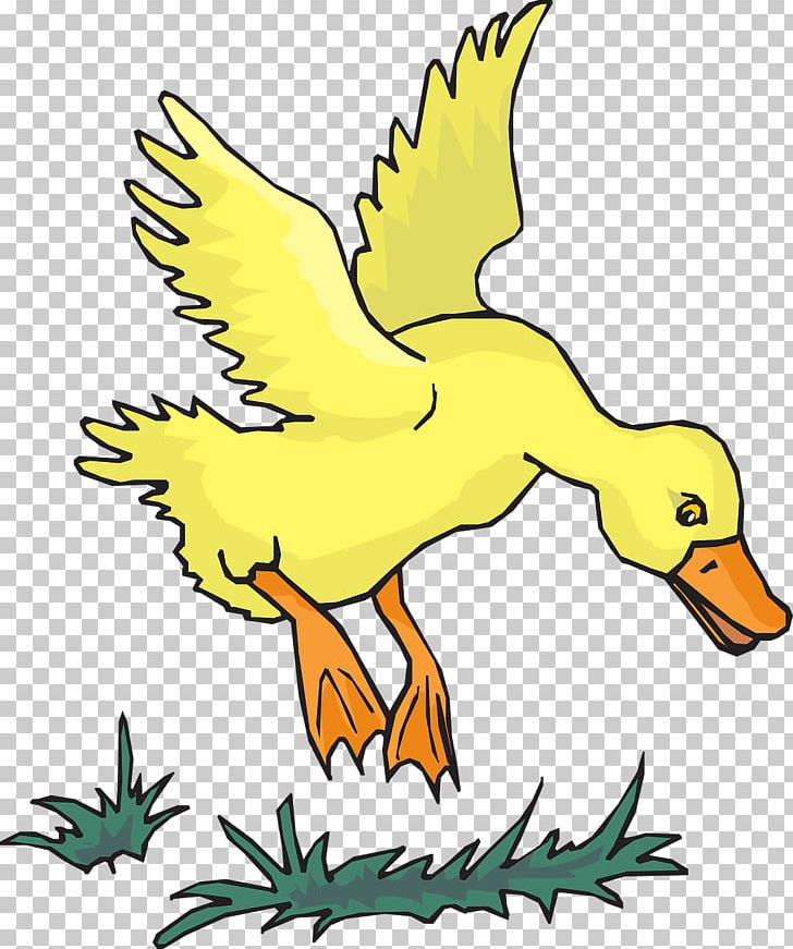 Airplane Flight Mallard Helicopter PNG, Clipart, Airplane, Animals, Animation, Artwork, Beak Free PNG Download
