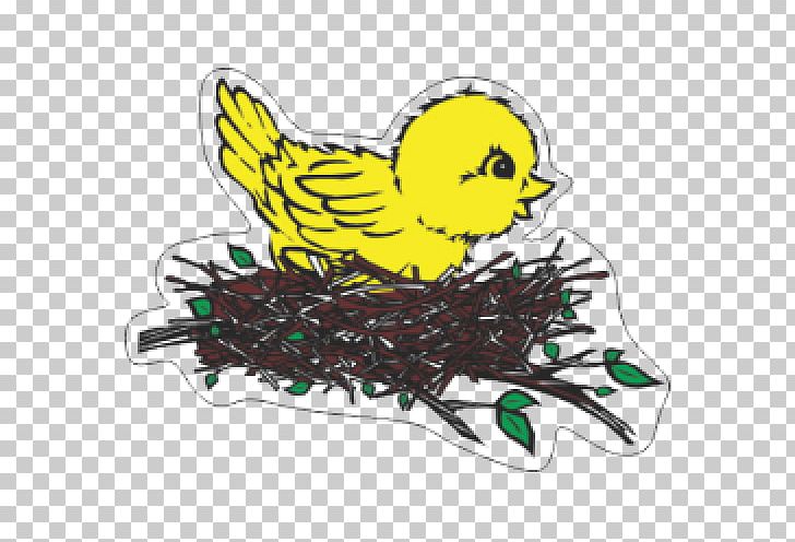 Bird Nest Beak Coloring Book PNG, Clipart, Animals, Art, Artwork, Beak, Bird Free PNG Download