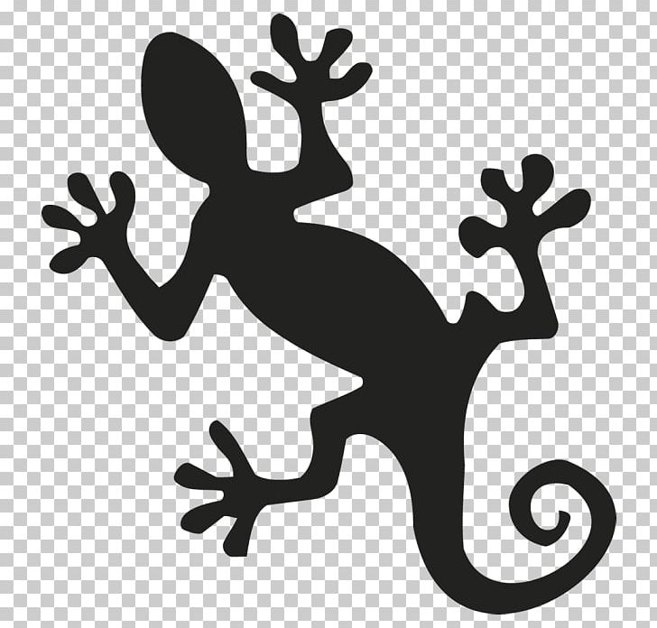 Fire Salamander Sticker Amphibians Salamandre PNG, Clipart, Adhesive, Alpine Salamander, Amphibian, Amphibians, Animal Free PNG Download