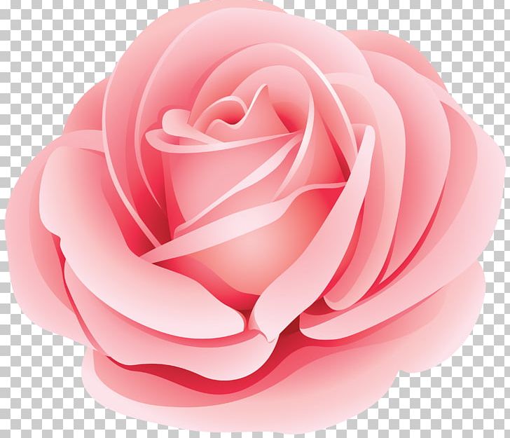 Flower Rose PNG, Clipart, Clip Art, Closeup, Common Daisy, Cut Flowers, Encapsulated Postscript Free PNG Download