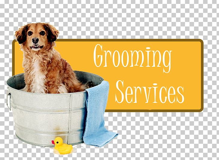 Puppy Partners Naturally Dog Breed Dog Grooming PNG, Clipart, Animals, Breed, Carnivoran, Companion Dog, Dog Free PNG Download