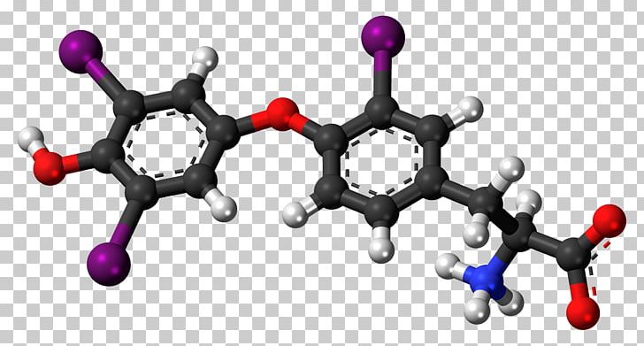 Reverse Triiodothyronine Thyroid Hormones Iodothyronine Deiodinase Diiodotyrosine PNG, Clipart, Body Jewelry, Diiodotyrosine, Hormone, Levothyroxine, Liothyronine Free PNG Download