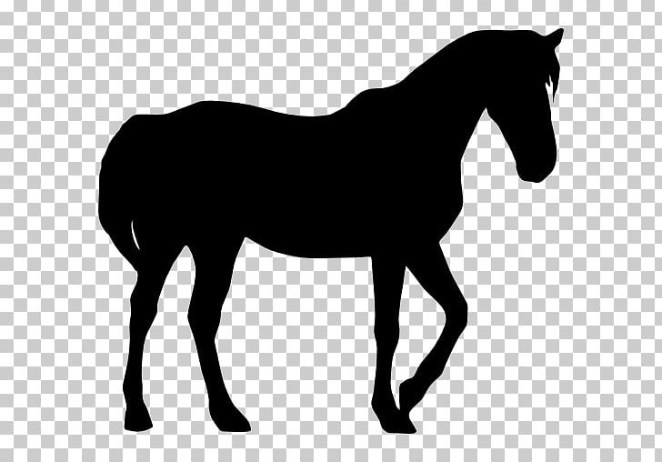 Mustang Silhouette Standing Horse PNG, Clipart, Animals, Black And White, Colt, Drawing, English Riding Free PNG Download