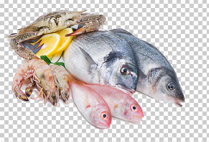 Squid As Food Fish Seafood Meat PNG, Clipart, Animals, Animal Source Foods, Canning, Crab Meat, Dairy Products Free PNG Download