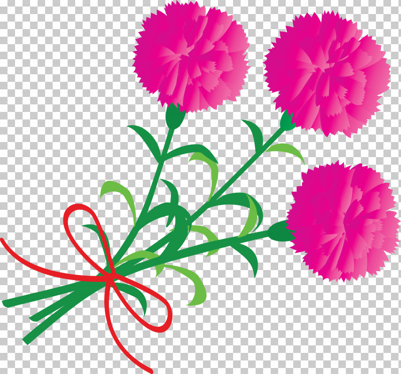 Mothers Day Carnation Mothers Day Flower PNG, Clipart, Carnation, China Aster, Cut Flowers, Dianthus, Flower Free PNG Download