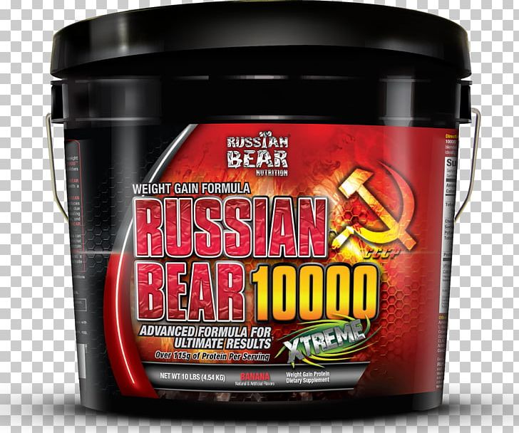 Dietary Supplement Bodybuilding Supplement Gainer Russian Bear Nutrition PNG, Clipart, Bodybuilding, Bodybuilding Supplement, Brand, Carbohydrate, Creatine Free PNG Download