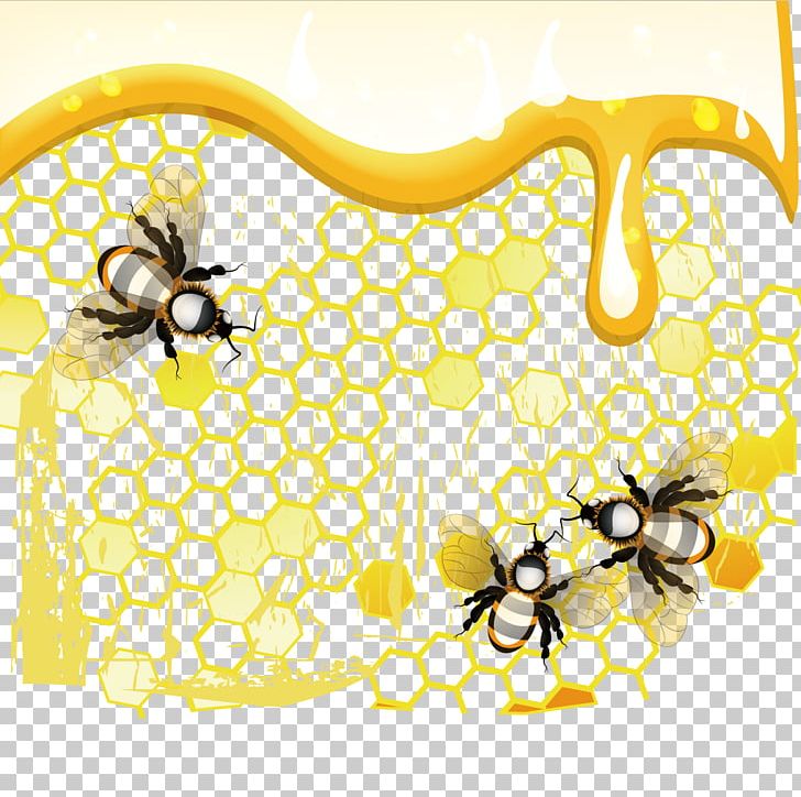Honey Bee Honeycomb PNG, Clipart, Bee, Bee Hive, Bees, Bees Honey, Bee Vector Free PNG Download