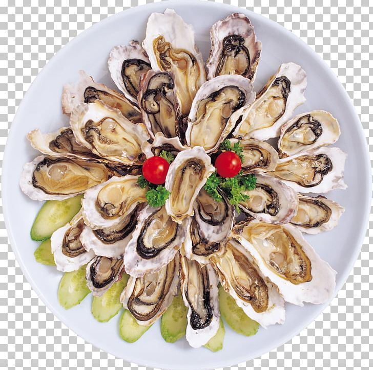 Oyster Clam Mussel Plate Recipe PNG, Clipart, Animal Source Foods, Clam, Clams Oysters Mussels And Scallops, Dish, Dishware Free PNG Download