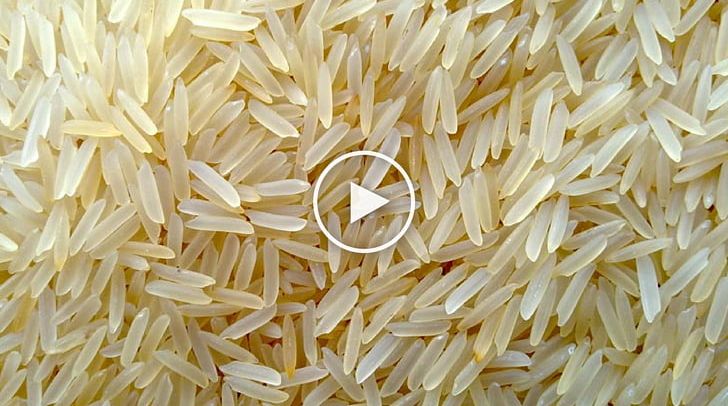 Basmati Parboiled Rice Cereal Food PNG, Clipart, Basmati, Brown Rice, Cereal, Commodity, Export Free PNG Download