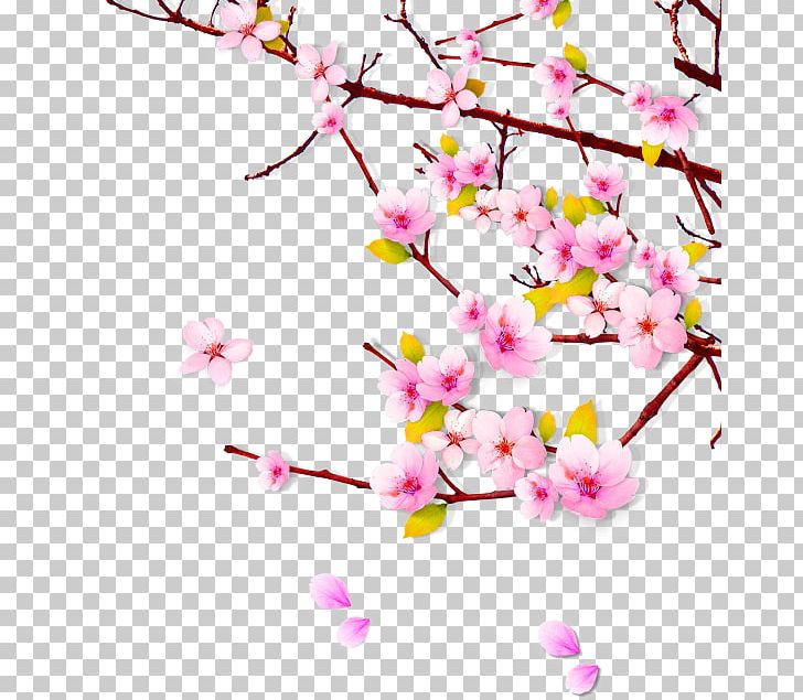 China Peach PNG, Clipart, Branch, Christmas Decoration, Decorative, Flower, Flower Arranging Free PNG Download