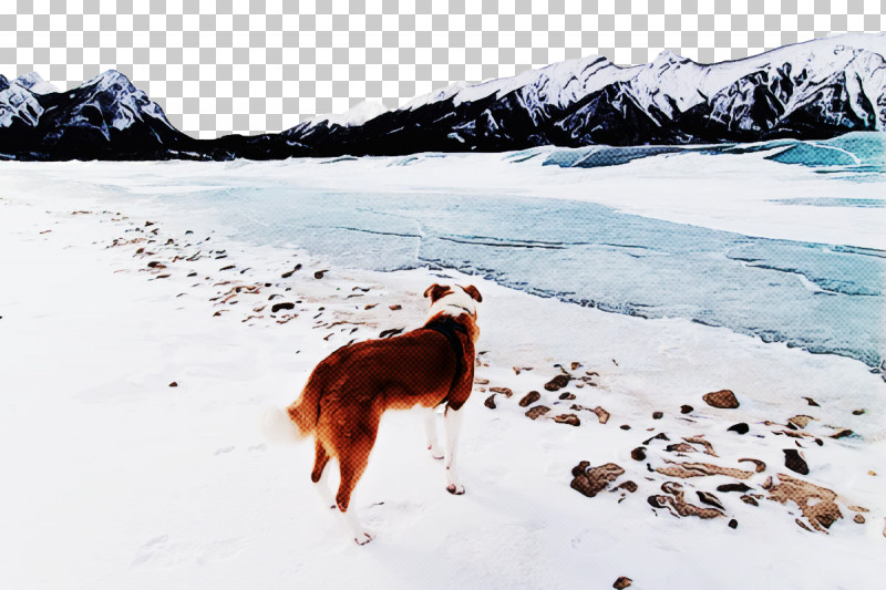Dog 09738 Glacial Landform Snow Freezing PNG, Clipart, Breed, Dog, Freezing, Geology, Glacial Landform Free PNG Download