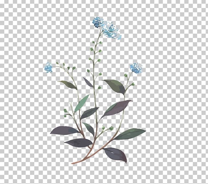 Blue Flower PNG, Clipart, Blue, Blue Background, Blue Vector, Branch, Color Free PNG Download