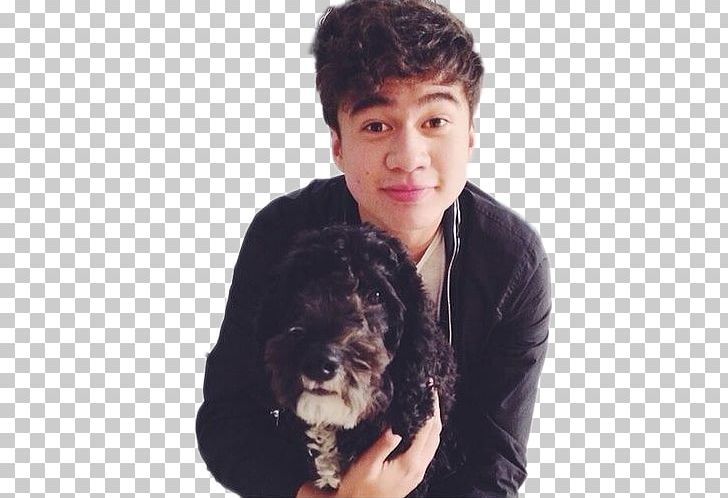 Puppy Calum Hood 5 Seconds Of Summer Sydney Dog Breed PNG, Clipart, 5 Seconds Of Summer, Animals, Ashton Irwin, Australia, Calum Hood Free PNG Download