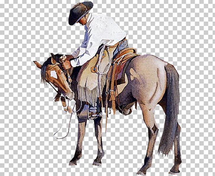 True Grit Horse Cowboy Western PNG, Clipart, American Frontier, Animals, Bridle, Cowboy, Cowboy Hat Free PNG Download