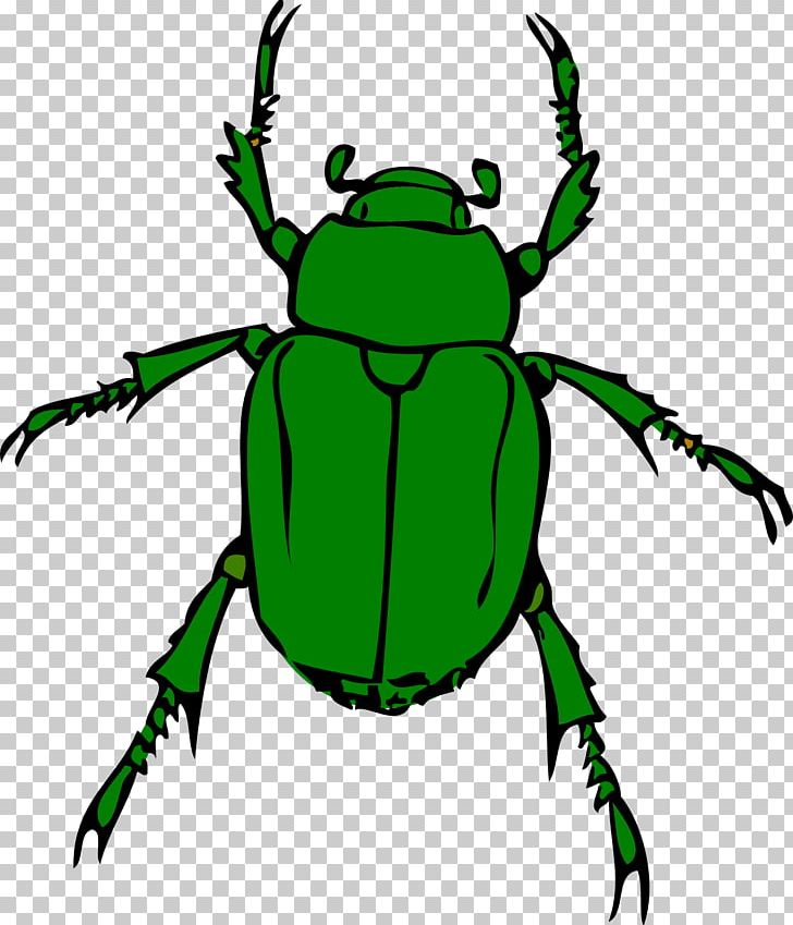 Volkswagen Beetle PNG, Clipart, Amphibian, Animals, Arthropod, Artwork, Beetle Free PNG Download