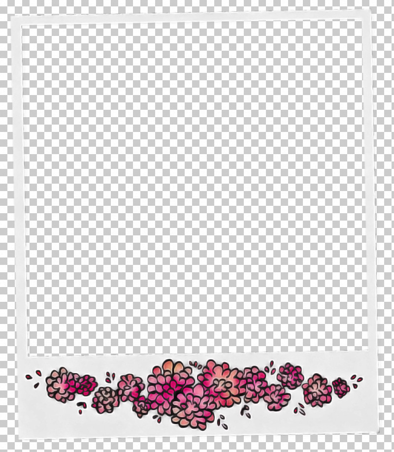 Pink Plant Rectangle PNG, Clipart, Pink, Plant, Rectangle Free PNG Download
